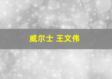 威尔士 王文伟